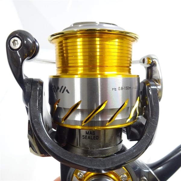 13セルテート2508PE | イシグロ公式オンラインショップ