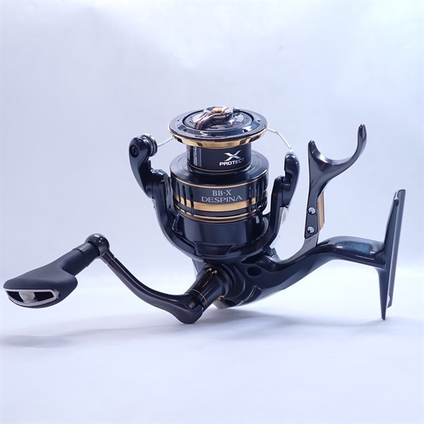 デスピナ C3000DXG