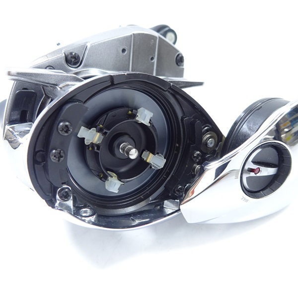 19 アンタレス　右 19アンタレス'右（03982） | イシグロ公式オンラインショップ