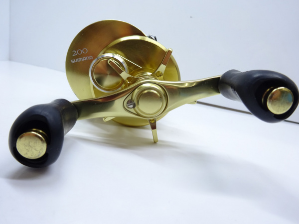 14カルカッタコンクスト '200（03204） | イシグロ公式