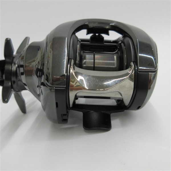 24 スティーズ　SV TW 100L ダイワ ベイトリール 24スティーズ SV TW 100L(左)【即日発送
