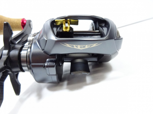 スティーズA2 XH左 スティーズ A II TW(リール)｜DAIWA