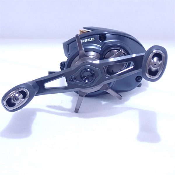 23スティーズ AII TW 1000H L スティーズ A II TW(リール)｜DAIWA
