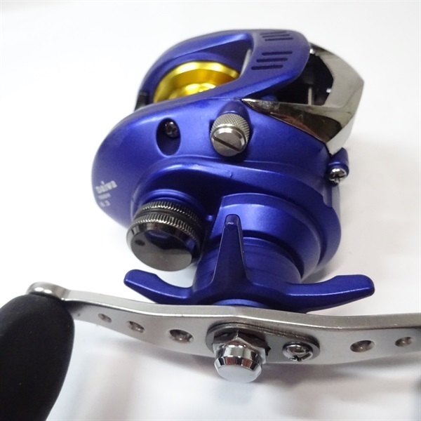 ダイワ(Daiwa) アグレストPEスペシャル 100H 00613894