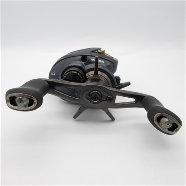 23スティーズA2TW 1000XHL 新品！ DAIWA（釣り） ダイワ 23 スティーズ A II TW 1000XHL 左