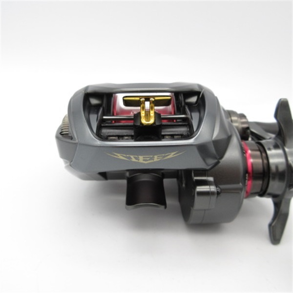 ダイワ(Daiwa) STEEZ(スティーズ) SV TW 1016SV-SHL (左ハンドル