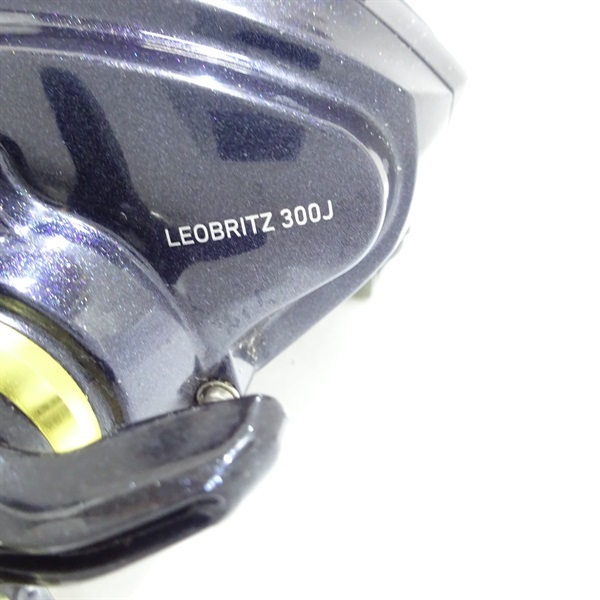 15レオブリッツ300J 右 | イシグロ公式オンラインショップ
