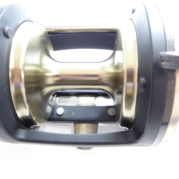 01巨鯉40W | イシグロ公式オンラインショップ