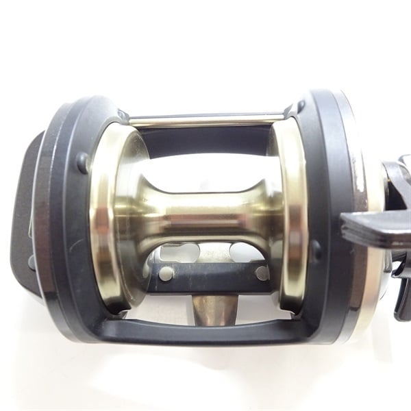 01巨鯉40W | イシグロ公式オンラインショップ