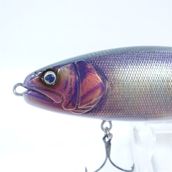 バラム200 リアル琵琶湖ハス | イシグロ公式オンラインショップ