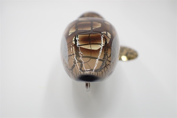 フカベイトテナガパイソン | イシグロ公式オンラインショップ